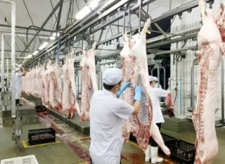 Thịt heo nhập khẩu so kè với hàng nội