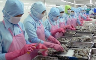 Doanh nghiệp ngành thủy sản tăng tốc
