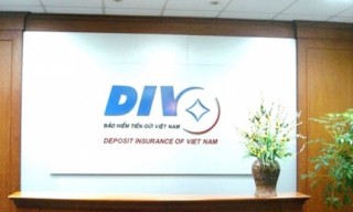 Triển khai chính sách BHTG tại TP. Hồ Chí Minh