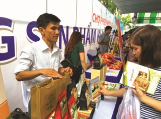 Thay đổi tư duy từ lượng sang chất