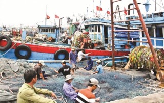 Xăng dầu tăng giá, tàu cá nằm bờ?