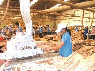 “Lót ổ” đón hội nhập