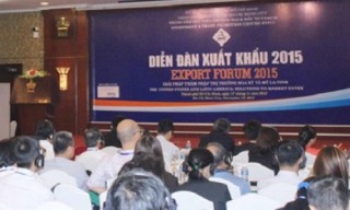 Giải pháp thâm nhập thị trường Hoa Kỳ và Mỹ Latinh