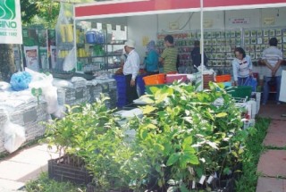 Nông sản, đặc sản Việt Nam lên đời