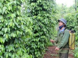 Cần hướng tới sản xuất sạch