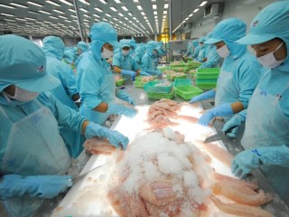 VASEP lên kế hoạch khắc phục thẻ vàng IUU
