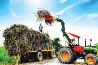 Pháp luật kinh doanh chịu nhiều “ràng buộc” từ hội nhập