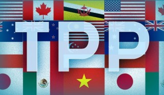 Chậm phổ biến TPP: DN tìm cách đối phó