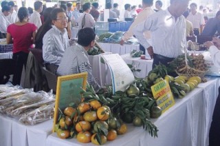 Kết nối cung cầu hàng hóa: DN địa phương bắt đúng nhịp