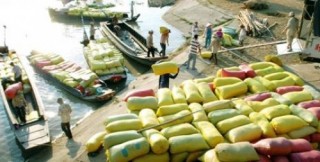 Nông sản Việt Nam: Cần những đột phá trong năm 2016