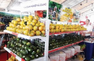 Doanh nghiệp phía Bắc đưa hàng “Nam tiến”