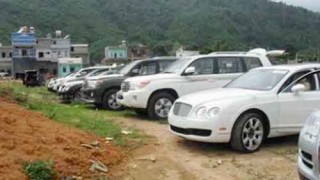 4 công ty có hành vi gian dối trong hoạt động tạm nhập, tái xuất ô tô