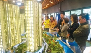 Thị trường sẽ phát triển cân đối