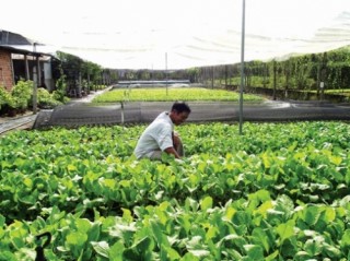 Phát triển bền vững chuỗi liên kết