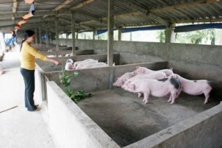 Thay đổi để hội nhập