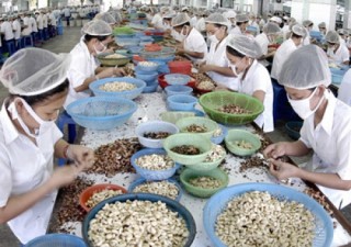 Nhìn từ giá trị gia tăng ngành điều