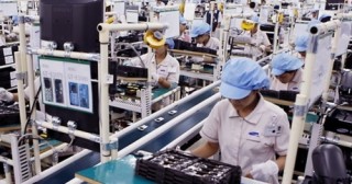 Kỳ vọng cải thiện năng suất