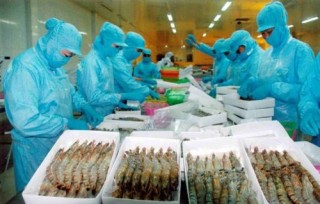 Xuất nhập khẩu chưa có nhiều cải thiện