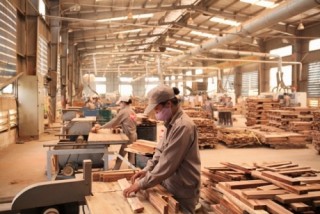 Thay đổi cách thức hỗ trợ đầu tư