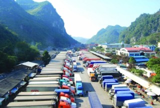 Agribank: Nhịp cầu nối giao thương bền vững