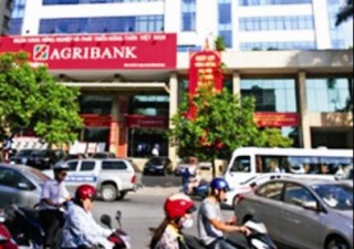 Agribank: Một chặng đường khẳng định thế và lực