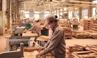 Đồ gỗ trước cửa vào EU, Hoa Kỳ
