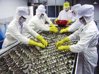 Chọn ngách nhỏ, mở đường lớn