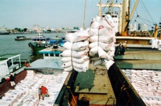 Xuất khẩu gạo trước cơ hội bứt phá