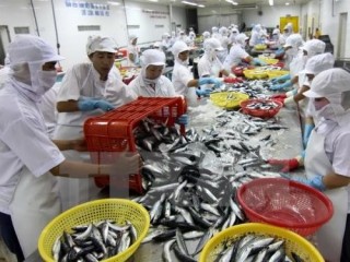 Hàn Quốc - đối tác thương mại quan trọng