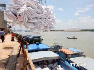 Xây dựng thương hiệu cho hạt gạo Việt Nam