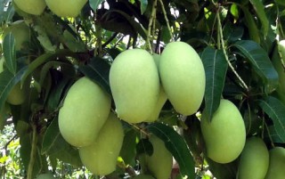 Đừng dễ làm, khó bỏ