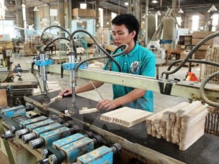 Xuất khẩu dăm gỗ gặp khó vì thuế tăng