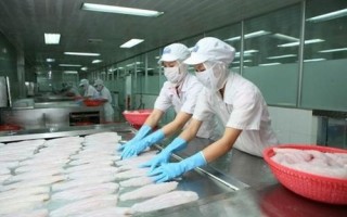 Cơ hội để thúc đẩy nội lực