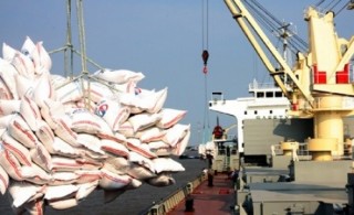 Xuất khẩu ghi nhận nhiều kỷ lục mới