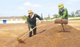 Mạnh tay đưa vốn đến doanh nghiệp