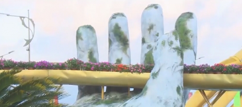 Check-in 'siêu độc' với Cầu Vàng ở Đường hoa bên sông Hàn